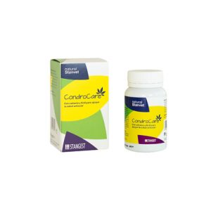 CONDROCARE 30 COMP STANGEST