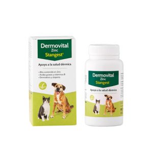 DERMOVITAL ZINC 60 COMP. STANGEST