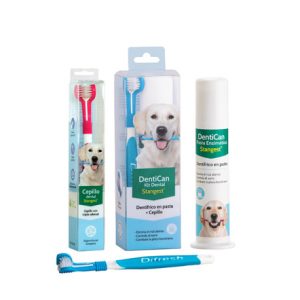 KIT DENTAL (CEPILLO + PASTA) DENTICAN STANGEST