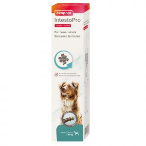 Beaphar IntestoPro Regulador Intestinal en Pasta Perros Grandes 20ml