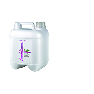 IV SAN BERNARD ACONDICIONADOR PROTECTIVE 5L