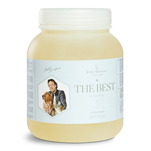 IV SAN BERNARD CHAMPÚ CASSIOPEIA 2,5L