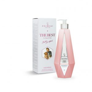 IV SAN BERNARD CHAMPÚ AQUARIUS 550ML