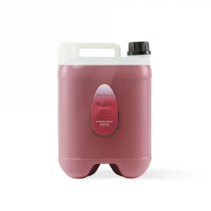 IV SAN BERNARD VANESIA CHAMPÚ GINSENG REFORZANTE 10L