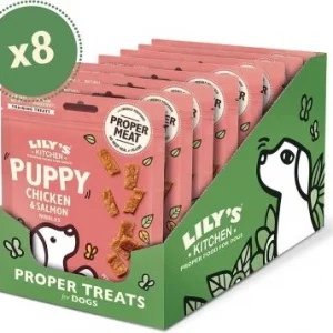 Lily's Kitchen Chicken Y Salmon Nibbles Puppies 70g - 8uds