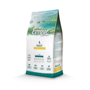 EVOQUE CAT ADULT CHICKEN&TURKEY 8KG