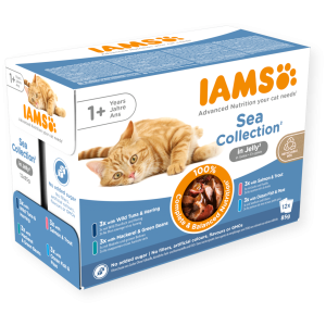 IAMS GATO ADULTO DELIGHT SEA COLLECTION GELATINA 12x85gr